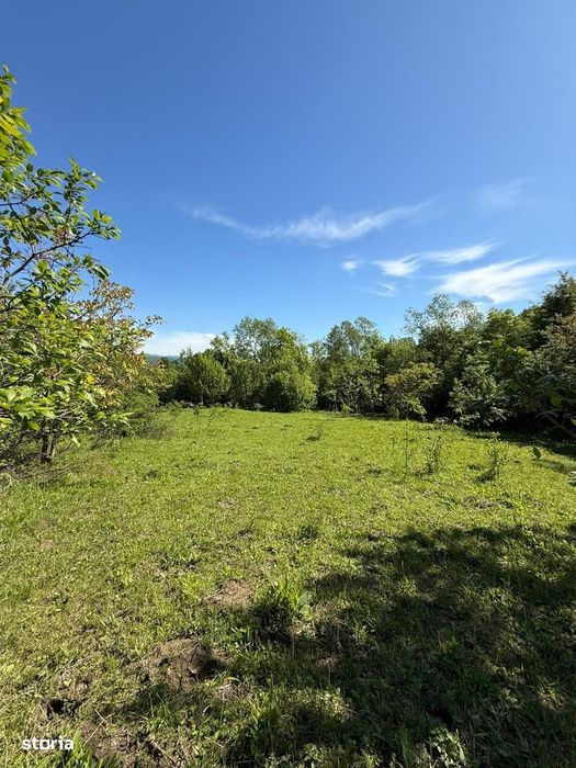 Poiana Câmpina - teren intravilan 3429mp - 50000 Euro