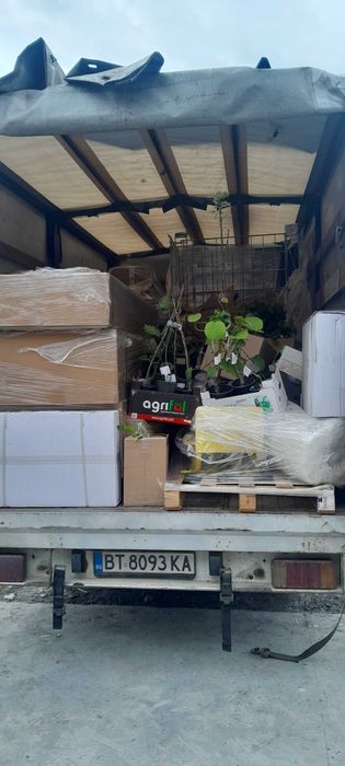 Транспортни и хамалски услуги