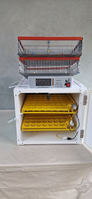 Incubator, clocitoare 110 oua MIP 110