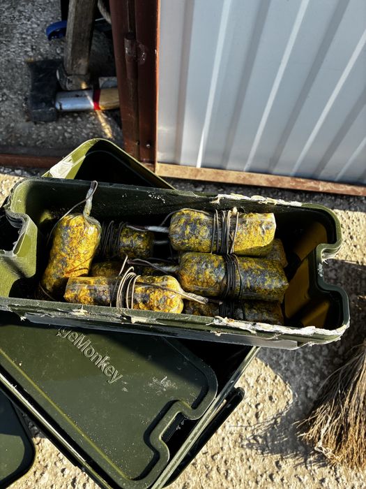 Galeti fox si ridgemonkey