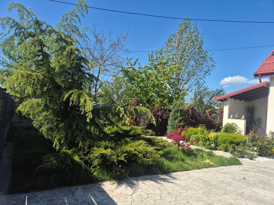 De vanzare casa P+M+BECI