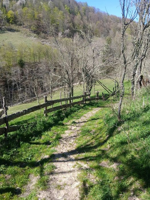 Casă de vânzare în Bucium (Alba) cu teren generos, apr