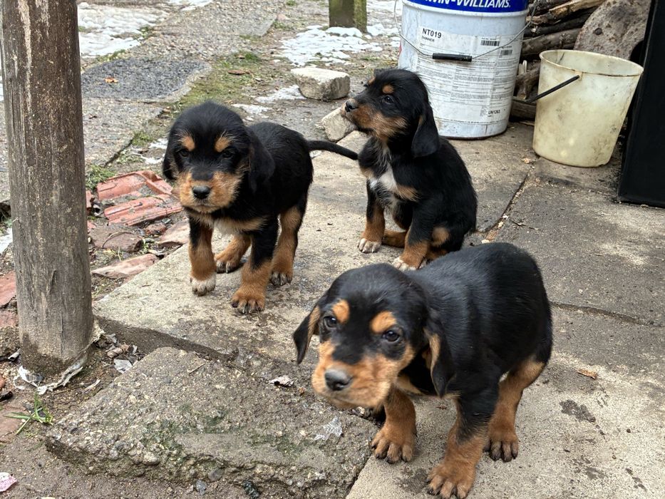 Бараци от работещи родители