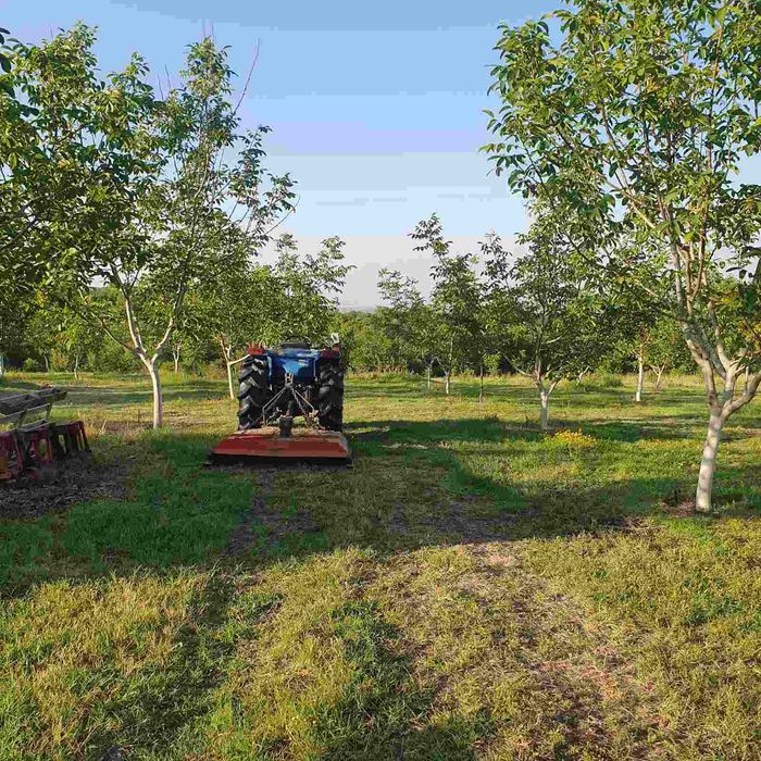 Продава се Земеделски имот в с. Горнослав, Област Пловдив за 4725 €/дка - Снимка #17