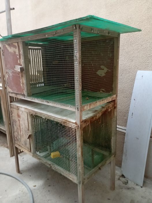 Куенга ин сотилади