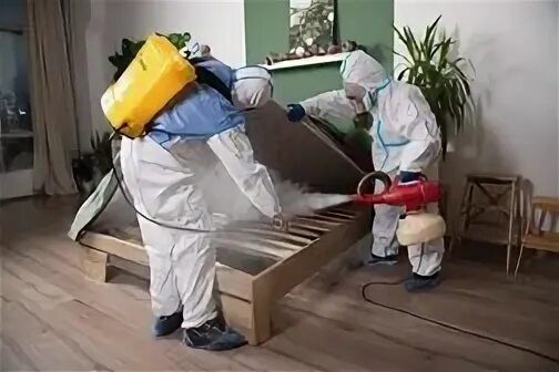 Dezinfeksiya,Dizenfeksiya xasharot suvarak tarakan sichqon kalamush