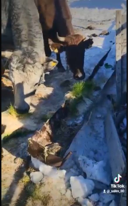 Бизнес в Караганде