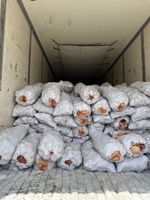 Картофель оптом с доставкой по городу