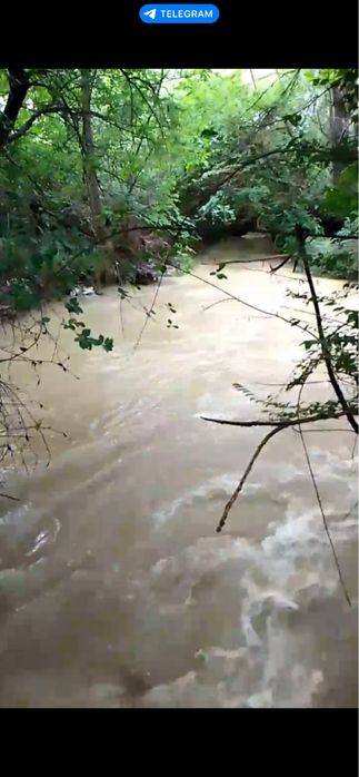 Uchaska sotiladi Toshkent viloyati Pskent Toshkend dengizi yaqinidaaaa