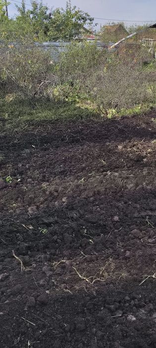 Продам дачу с баней в  СТ  Борки