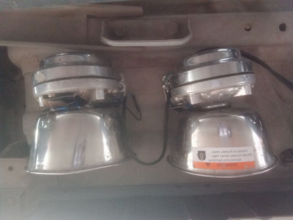 Serena Amerikanka migalka