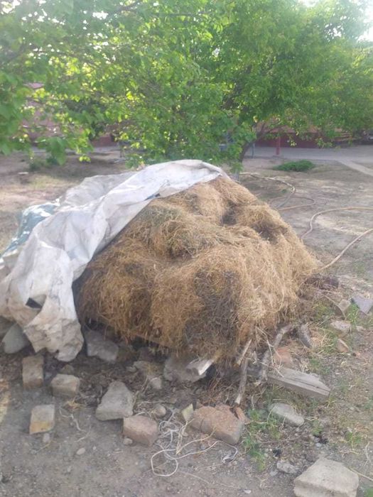 Жоңышқа сатылады