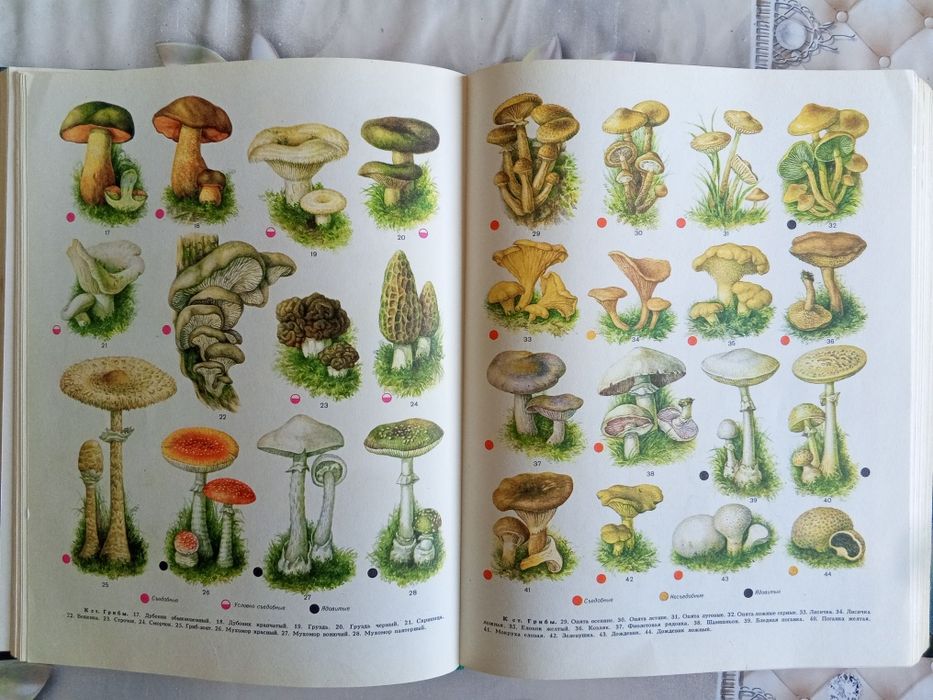 Медицинская энциклопедия