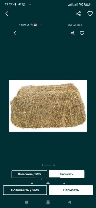 Somon pres,donaga (dastavka adelna) mayda somon