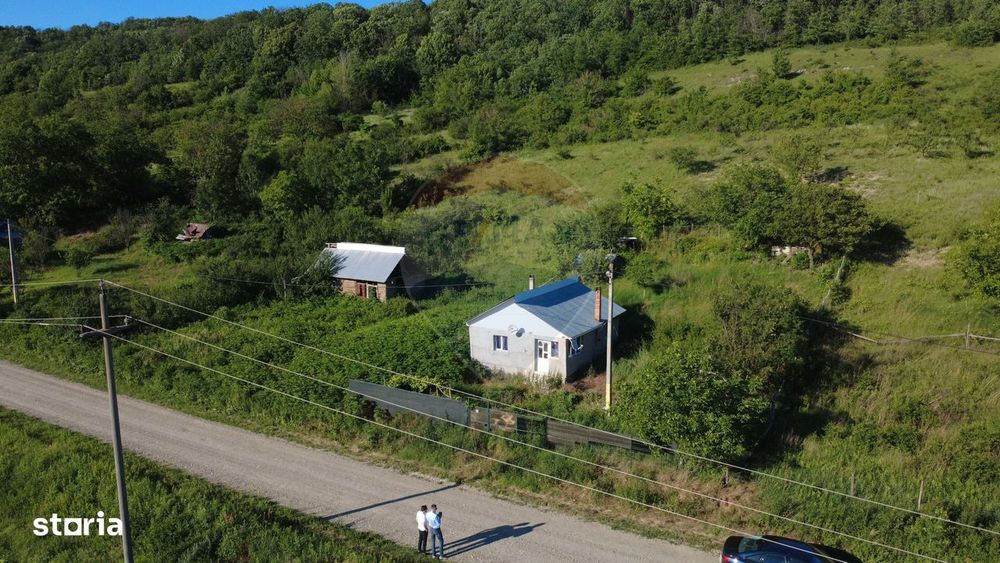 Casa de vanzare in Valea Salciei