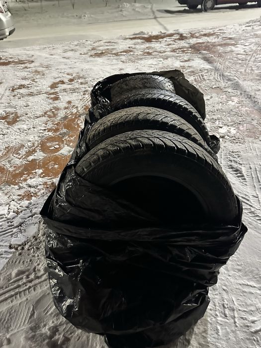 Продам шины 10000 1 шт