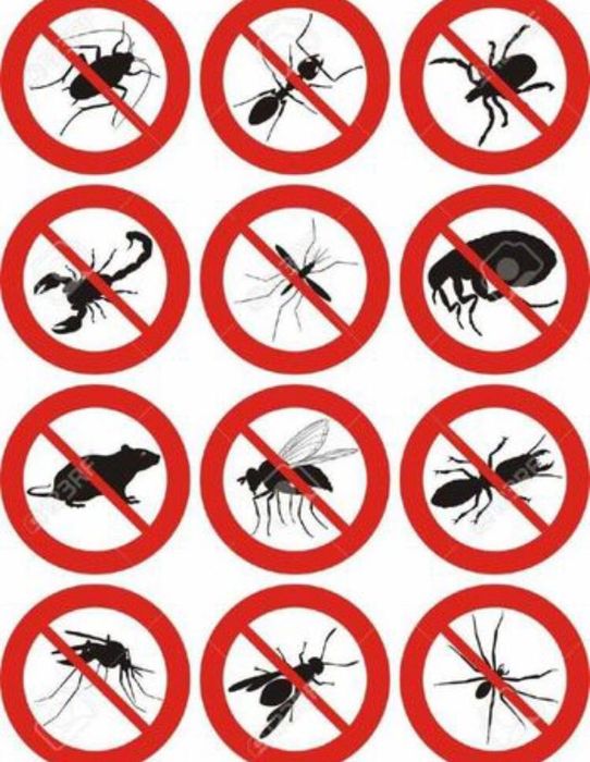 Дезенфекция дизенфекция дезинфекция дизинфекция dizinfeksiya