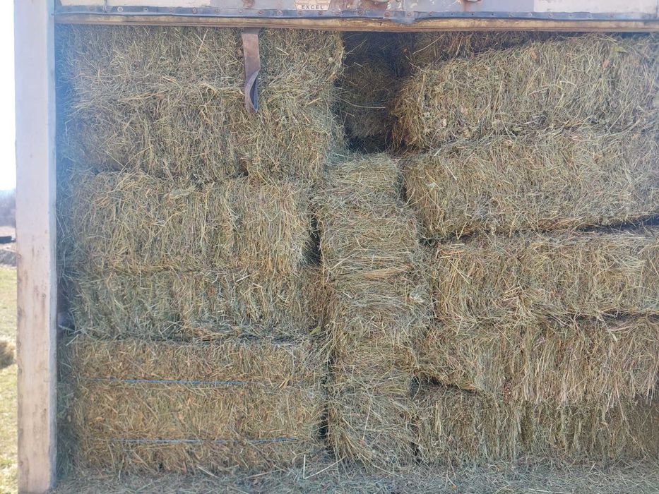 Baloti de fîn de vanzare