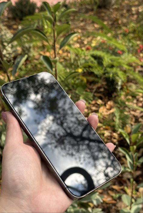 iPhone 13 Pro Max 256Гб