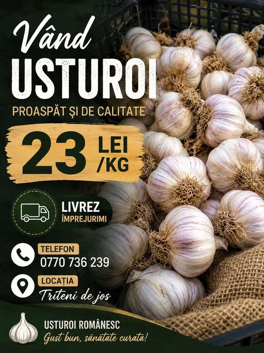 Vând usturoi  românesc