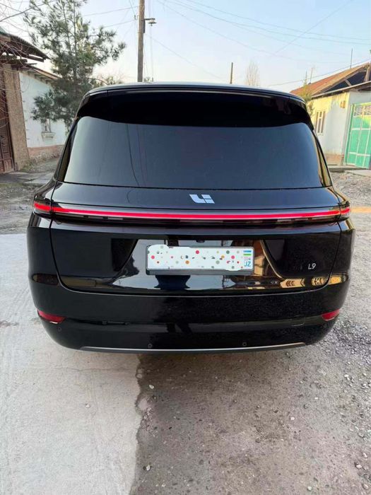 Li 9 не битая без краски