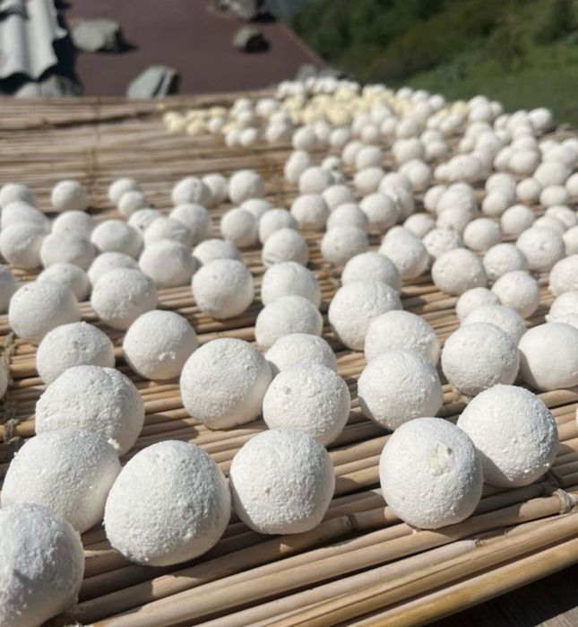 Курт , құрт, таза қазғұрдтыкы