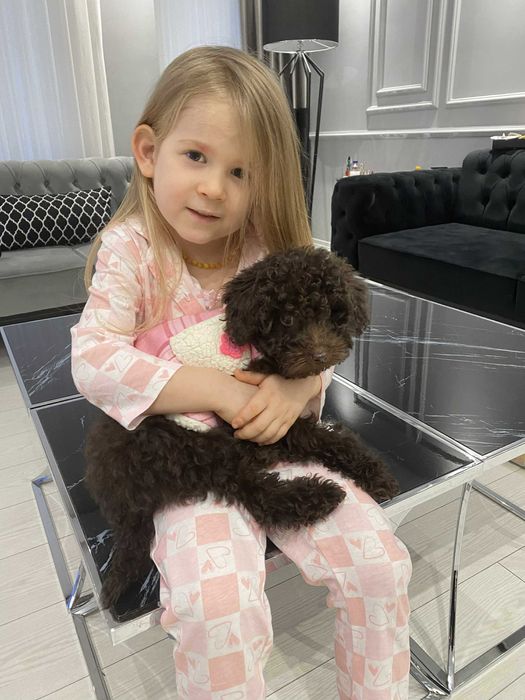 Продавам мини принцеса