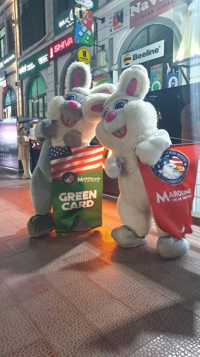 Организация детских праздников, различные герои, аниматоры.