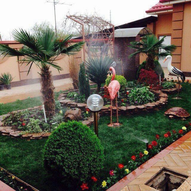 Gazon xizmati kelishilg xolda arzon