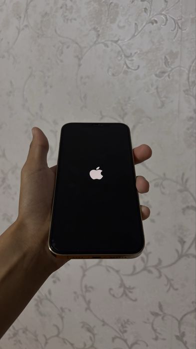 Iphone12 про макс