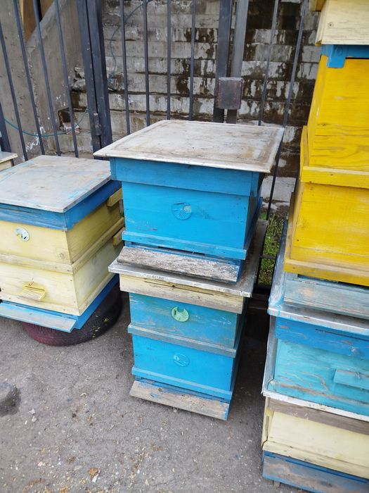 Кошери за пчели  многокорпусни