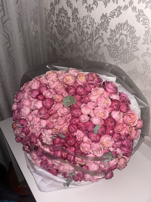 Продаю цветы срочно!!