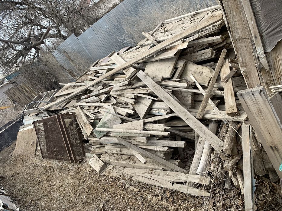 Ағаштар сатылады