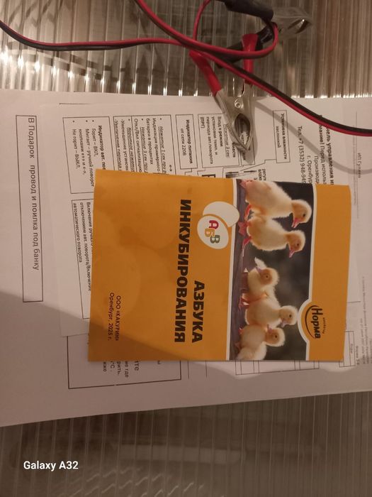 норма лупер инкубатор сатылады