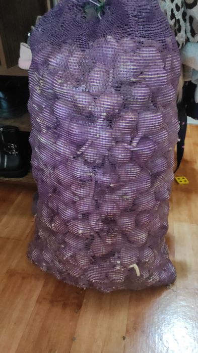 Продам средний чеснок