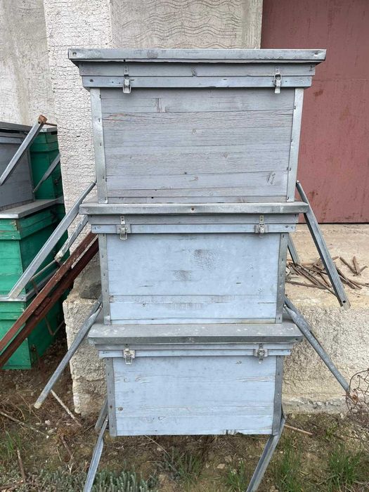 Vând cutii stupi de albine