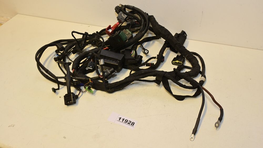 Instalatie electrica BMW S1000XR K49 8358422