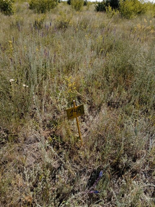 Земельный участок