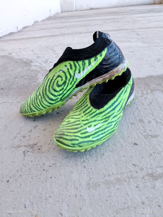 Сараканошки зилоние