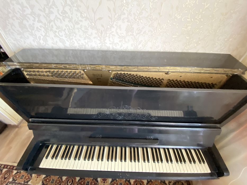 Беларусь пианино