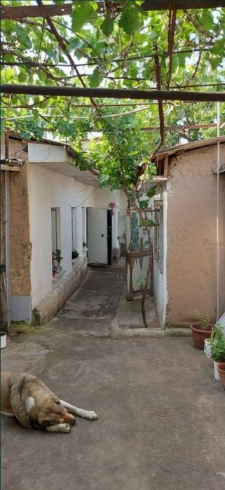 Продаётся участок шумилоский городок ориентировочно обод маккон махаля