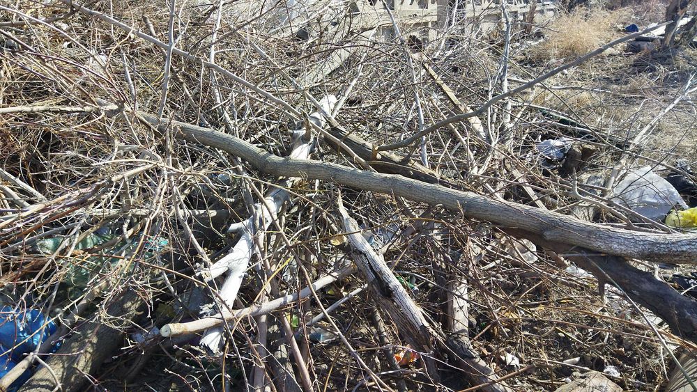 Отдадим бесплатно на дрова. Самовывоз.