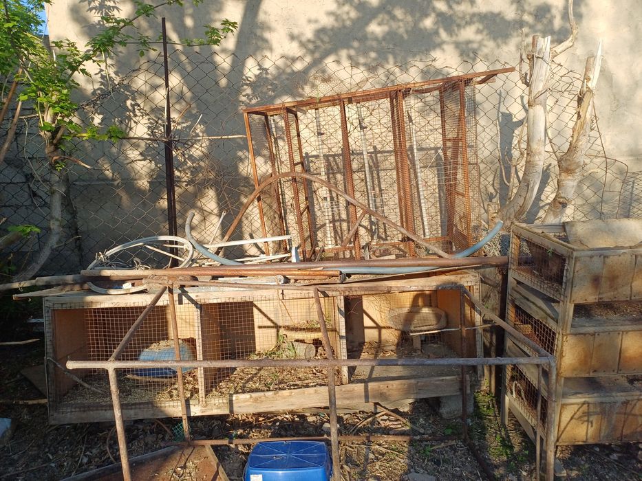 Клетки не дорого