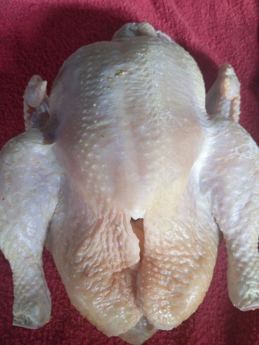 В продаже домашнее мясо бройлера.