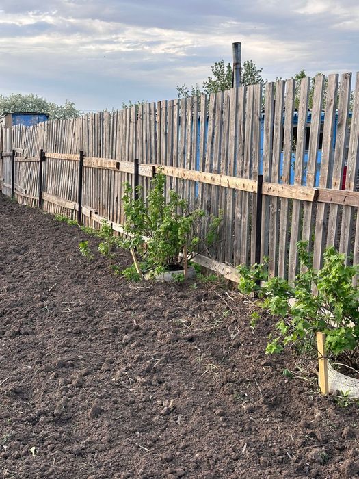 Дача в городе! 6 соток! ……………