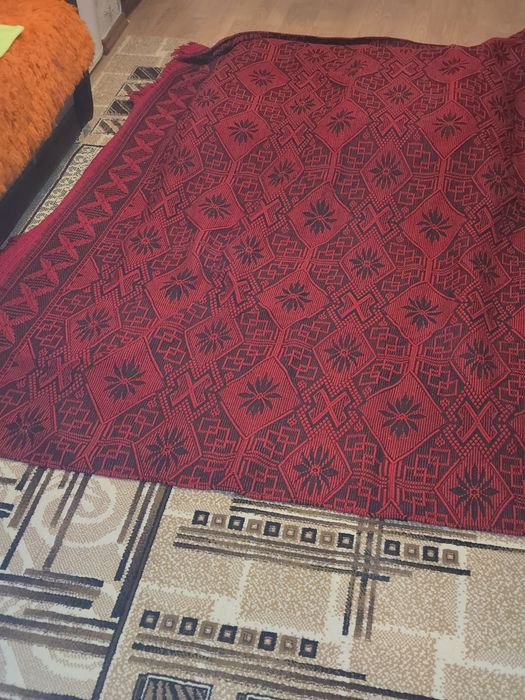 Вълнен бял китеник