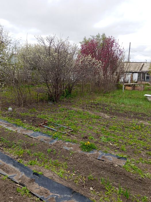 Продам дачу район обылгаз