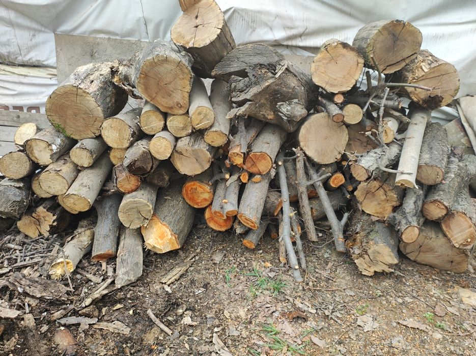 Утин 800.000 сум