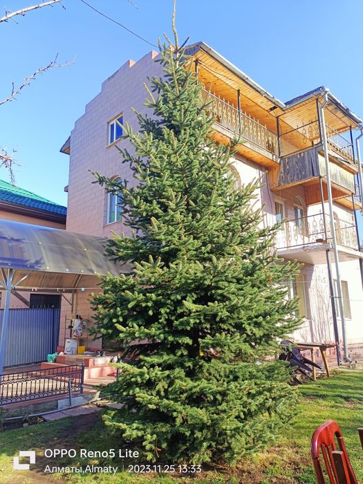 Продам  елку очень красивая