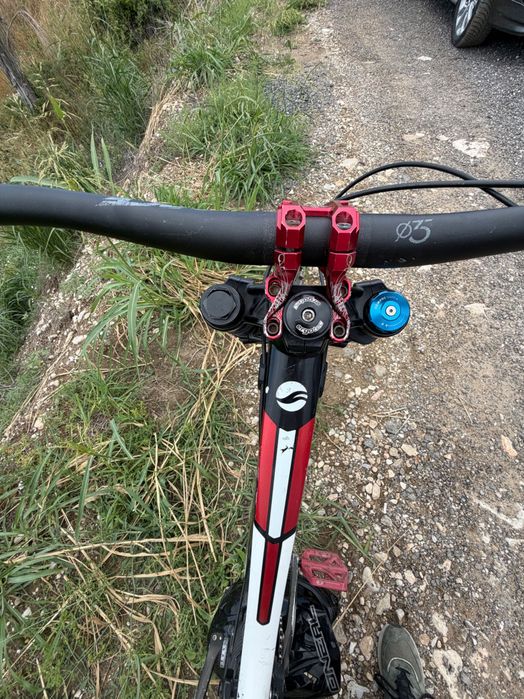 Giant glory downhill
